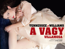 A Vágy Villamosa