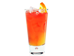 Orange Agave